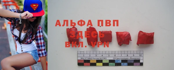 индика Михайлов