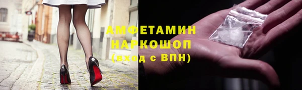 индика Михайлов