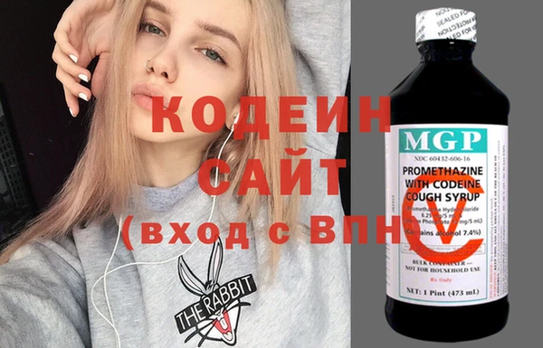 индика Михайлов