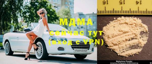 индика Михайлов