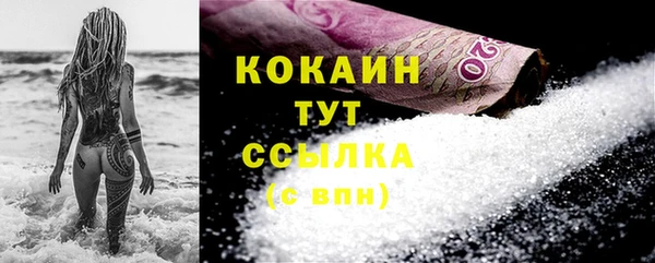 гидра Ахтубинск