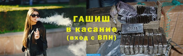 индика Михайлов