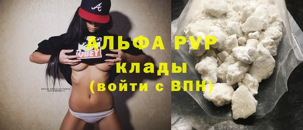 индика Михайлов