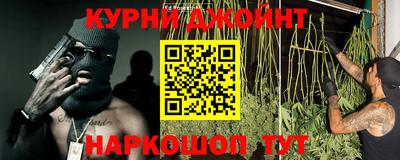 индика Аргун