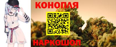 индика Аргун