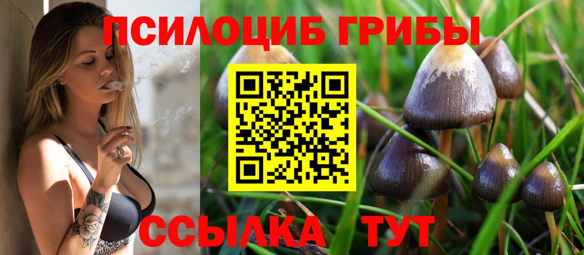 Галлюциногенные грибы мухоморы  Вход с VPN  Южноуральск 