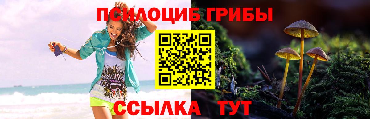 Галлюциногенные грибы GOLDEN TEACHER Южноуральск